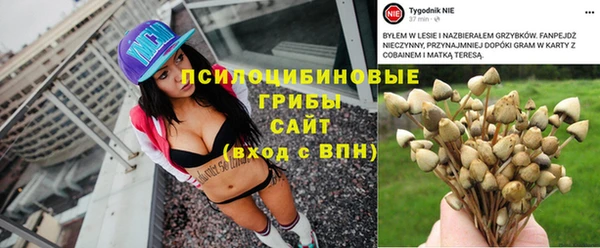 спиды Заводоуковск