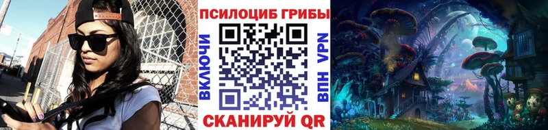 Купить где  Энем  Галлюциногенные грибы Magic Shrooms 